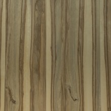 SHELLBARK-VL
